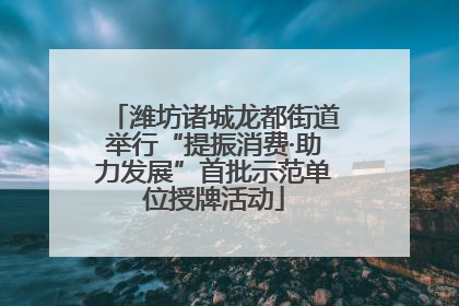 潍坊诸城龙都街道举行“提振消费·助力发展”首批示范单位授牌活动