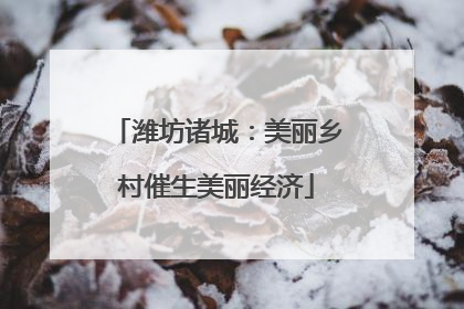 潍坊诸城：美丽乡村催生美丽经济