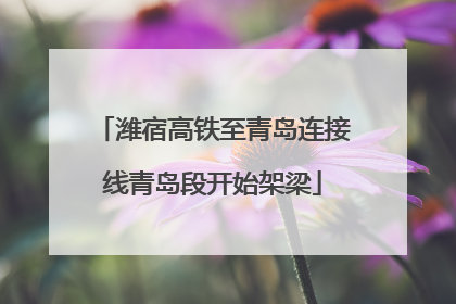 潍宿高铁至青岛连接线青岛段开始架梁