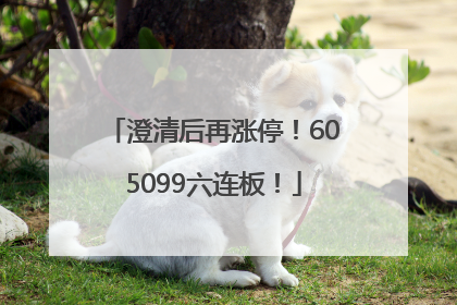 澄清后再涨停！605099六连板！