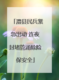 澧县民兵紧急出动 连夜封堵管涌除险保安全