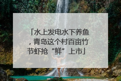 水上发电水下养鱼，青岛这个村百亩竹节虾抢“鲜”上市