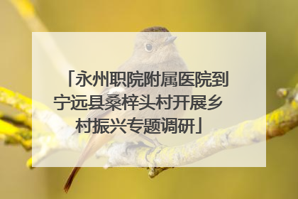 永州职院附属医院到宁远县桑梓头村开展乡村振兴专题调研