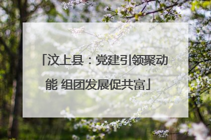 汶上县：党建引领聚动能 组团发展促共富