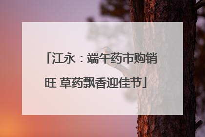 江永：端午药市购销旺 草药飘香迎佳节