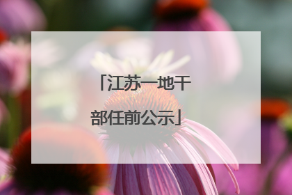 江苏一地干部任前公示