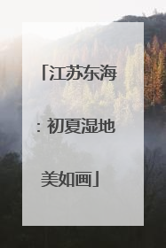 江苏东海：初夏湿地美如画