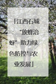 江西石城：“放蜂治蚜”助力绿色防控与农业发展