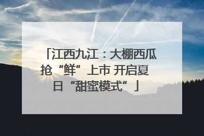 江西九江：大棚西瓜抢“鲜”上市 开启夏日“甜蜜模式”