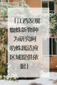 江西发现蜘蛛新物种 为研究呵叻蛛属适应区域提供依据
