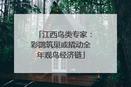 江西鸟类专家：彩鹮筑巢或撬动全年观鸟经济链