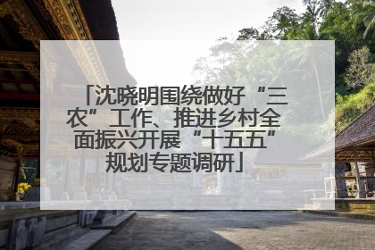 沈晓明围绕做好“三农”工作、推进乡村全面振兴开展“十五五”规划专题调研