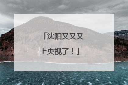 沈阳又又又上央视了！