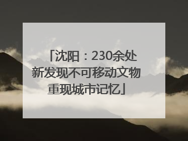 沈阳：230余处新发现不可移动文物重现城市记忆