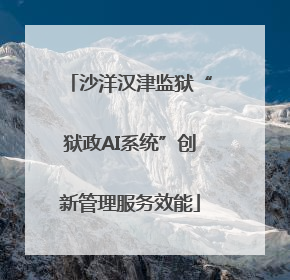 沙洋汉津监狱“狱政AI系统”创新管理服务效能