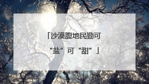沙漠腹地民勤可“盐”可“甜”