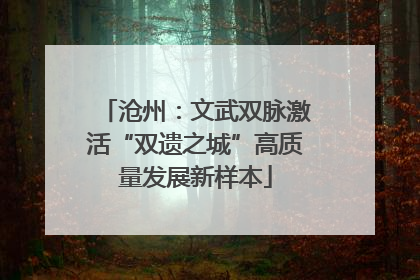 沧州：文武双脉激活“双遗之城”高质量发展新样本
