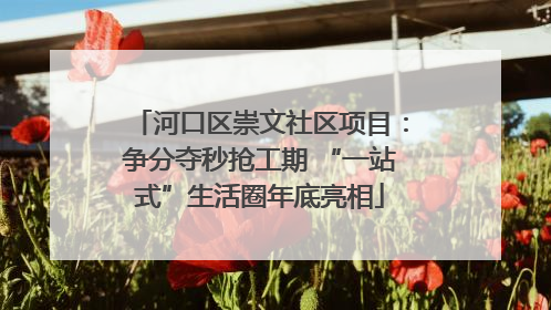 河口区崇文社区项目：争分夺秒抢工期 “一站式”生活圈年底亮相