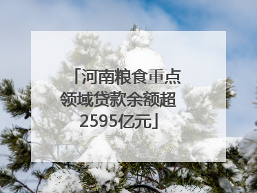 河南粮食重点领域贷款余额超2595亿元
