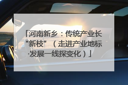 河南新乡：传统产业长“新枝”（走进产业地标·发展一线探变化）