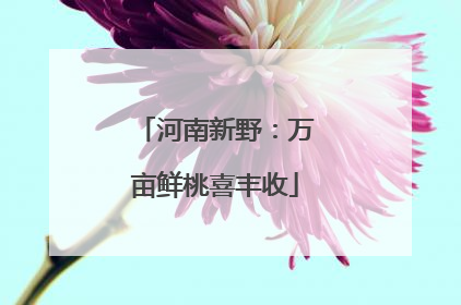河南新野：万亩鲜桃喜丰收