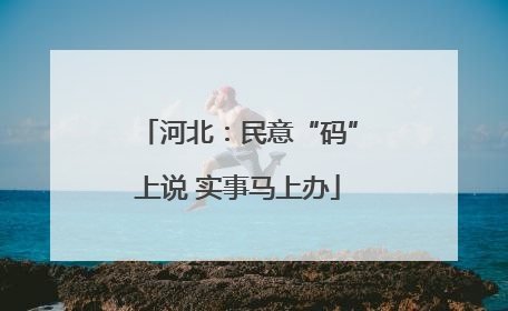 河北：民意“码”上说 实事马上办