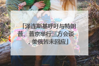 泽连斯基呼吁与特朗普、普京举行三方会谈，美俄暂未回应