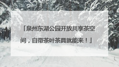 泉州东湖公园开放共享茶空间，自带茶叶茶具就能来！