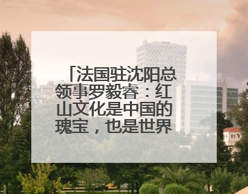 法国驻沈阳总领事罗毅睿：红山文化是中国的瑰宝，也是世界文化遗产