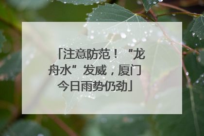 注意防范！“龙舟水”发威，厦门今日雨势仍劲
