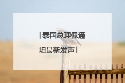 泰国总理佩通坦最新发声