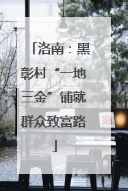 洛南：黑彰村“一地三金”铺就群众致富路