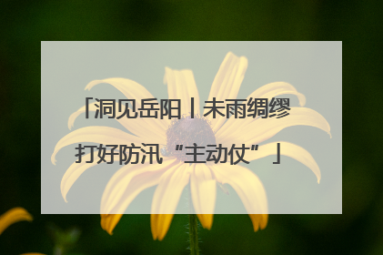 洞见岳阳丨未雨绸缪 打好防汛“主动仗”