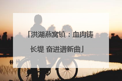 洪湖燕窝镇：血肉铸长堤 奋进谱新曲