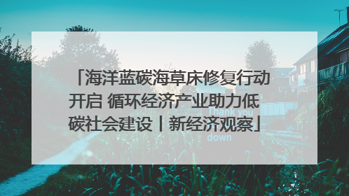 海洋蓝碳海草床修复行动开启 循环经济产业助力低碳社会建设丨新经济观察