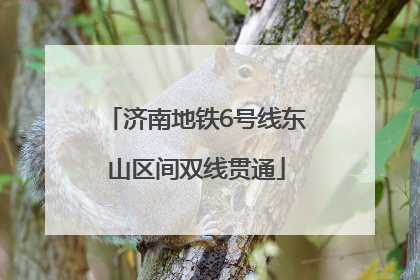 济南地铁6号线东山区间双线贯通