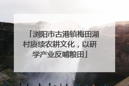 浏阳市古港镇梅田湖村赓续农耕文化，以研学产业反哺粮田