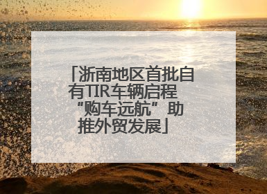 浙南地区首批自有TIR车辆启程 “购车远航”助推外贸发展
