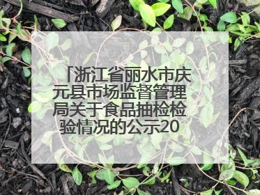 浙江省丽水市庆元县市场监督管理局关于食品抽检检验情况的公示2025年第3期