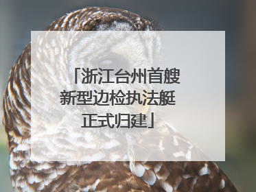 浙江台州首艘新型边检执法艇正式归建