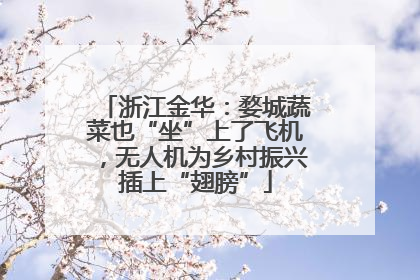 浙江金华：婺城蔬菜也“坐”上了飞机，无人机为乡村振兴插上“翅膀”