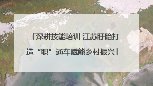 深耕技能培训 江苏盱眙打造“职”通车赋能乡村振兴