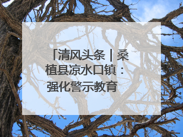 清风头条｜桑植县凉水口镇：强化警示教育 构筑廉洁防线