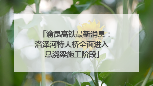 渝昆高铁最新消息：洛泽河特大桥全面进入悬浇梁施工阶段