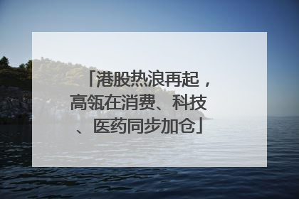 港股热浪再起，高瓴在消费、科技、医药同步加仓