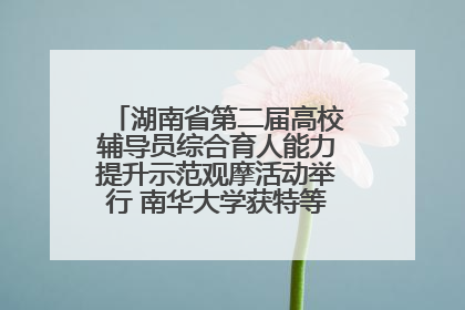 湖南省第二届高校辅导员综合育人能力提升示范观摩活动举行 南华大学获特等奖和一等奖
