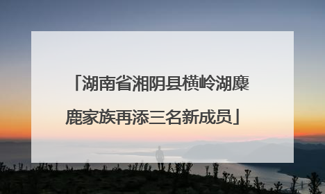 湖南省湘阴县横岭湖麋鹿家族再添三名新成员