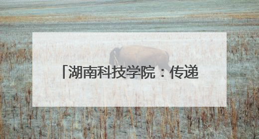 湖南科技学院：传递书香润泽童心 红色传承点亮“六一”