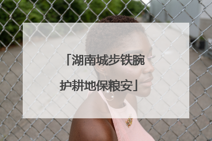 湖南城步铁腕护耕地保粮安