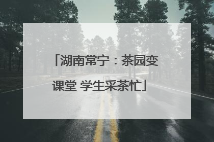 湖南常宁：茶园变课堂 学生采茶忙